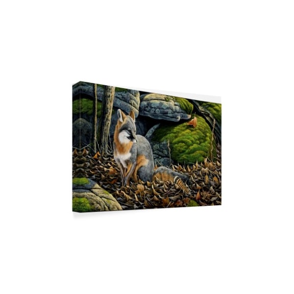 Wilhelm Goebel 'Grey Fox' Canvas Art,12x19